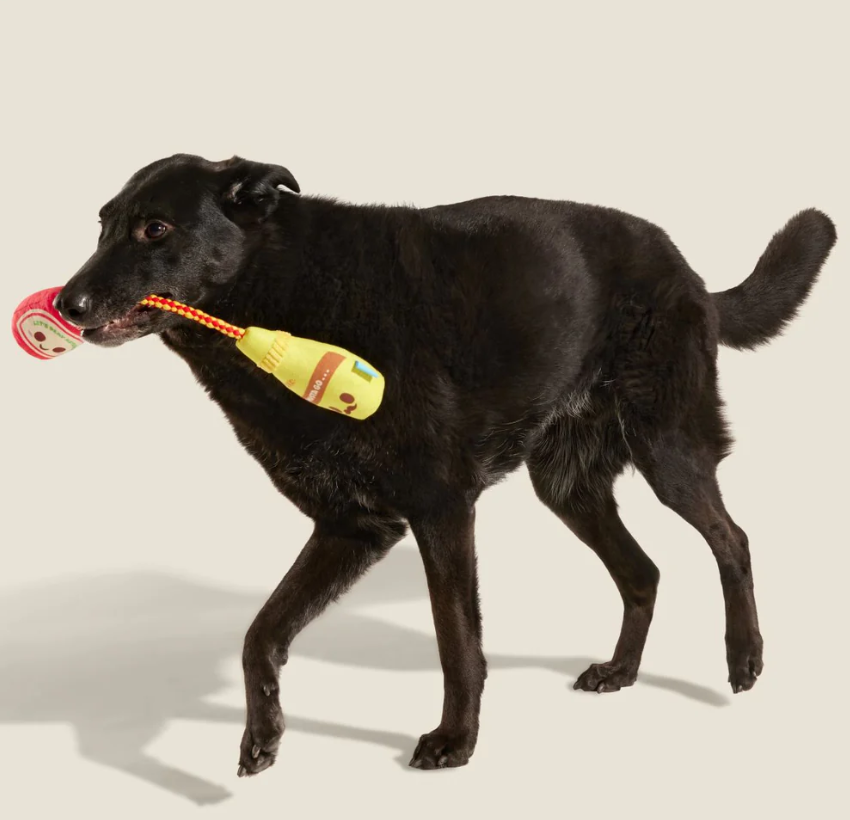 🌭 Pass The Condimutts Tug Toy