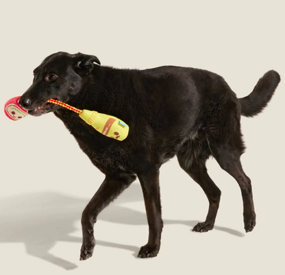 🌭 Pass The Condimutts Tug Toy