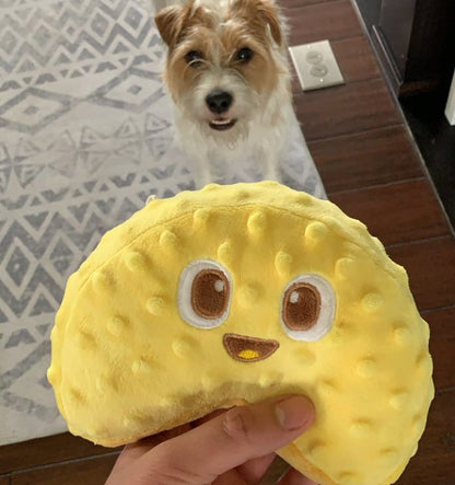 🧀 Sheddar Cheese Squeaky Toy