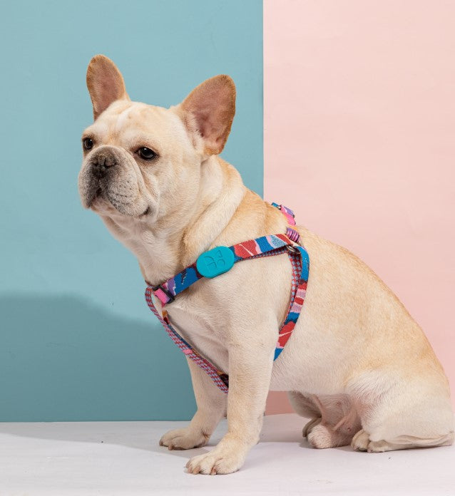 Colorful Series Y-Shaped Harness [Mountain and River Impressions]