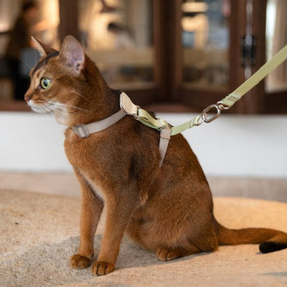 Two-Tone Leather Cat Harness &  Leash Set [🌿Moss Brown-Green]