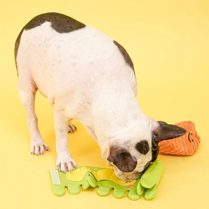 🥕Carrot Nosework Toy