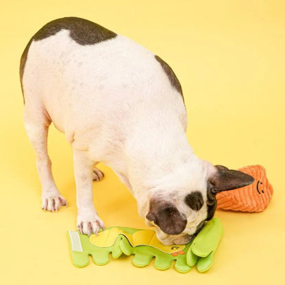 🥕Carrot Nosework Toy