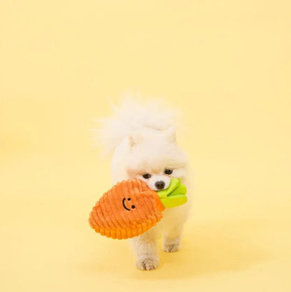 🥕Carrot Nosework Toy