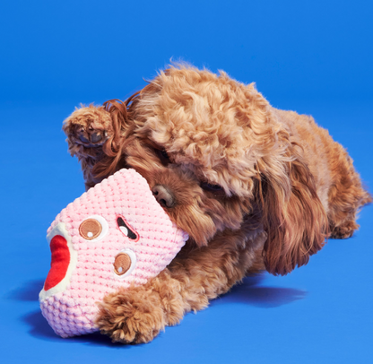 🍓Strawberry Snortcake Popsicle Tug Toy