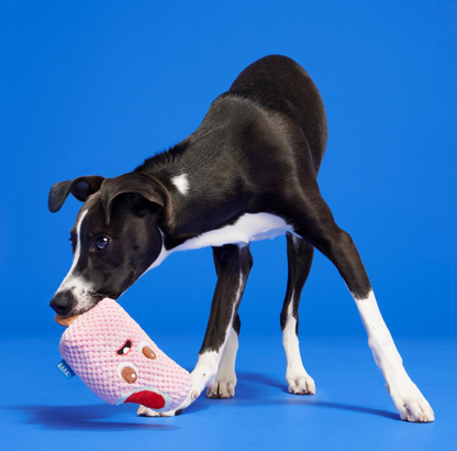 🍓Strawberry Snortcake Popsicle Tug Toy