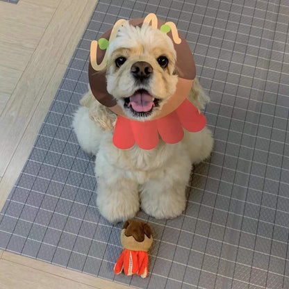 Dog wearing a lion costume on a tiled floor