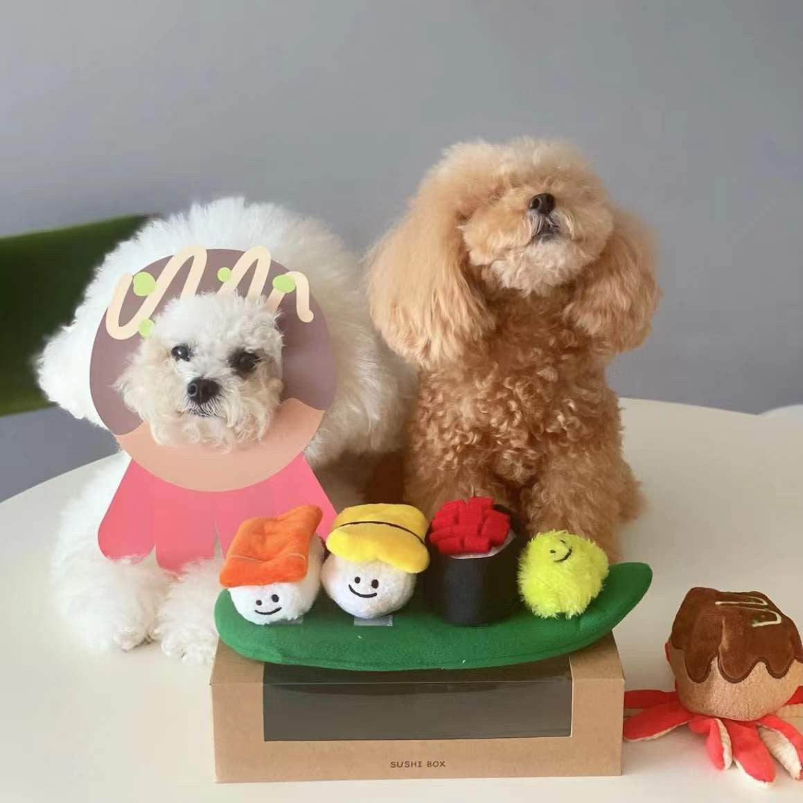 Two small dogs with a set of plush sushi toys on a table.