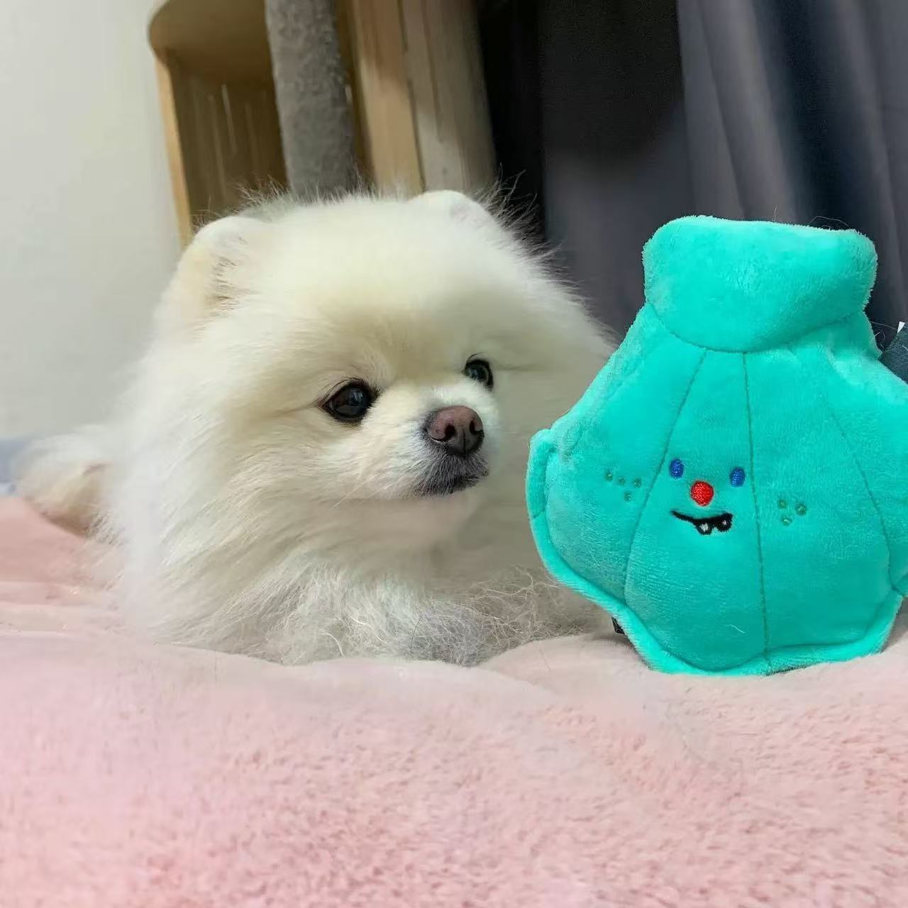 🐚 Shell and Pearl Sniffing Toy