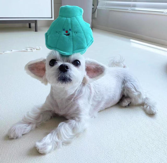🐚 Shell and Pearl Sniffing Toy