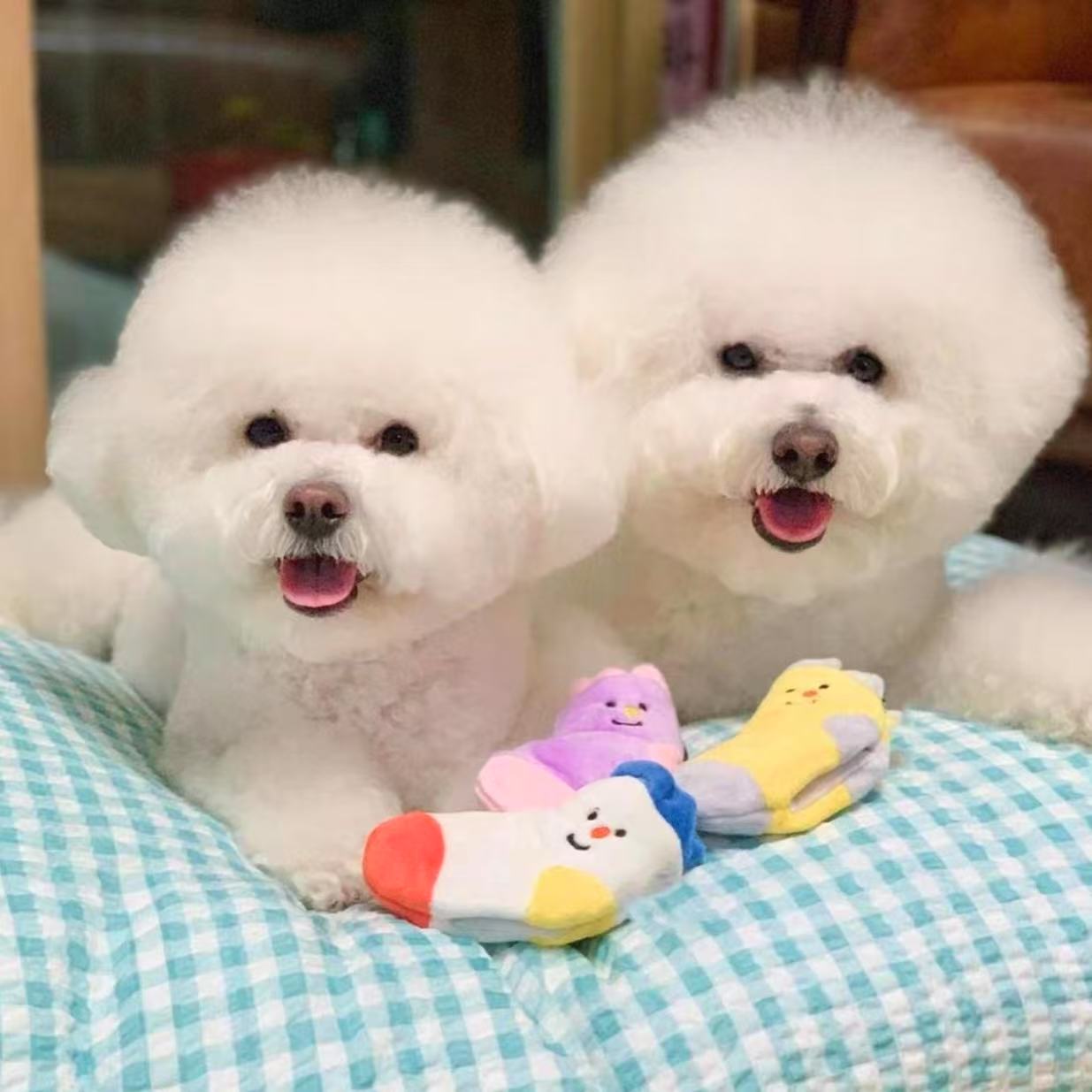 🧦 Hide-and-Seek BB Squeaky Socks Toy [Set of 3]