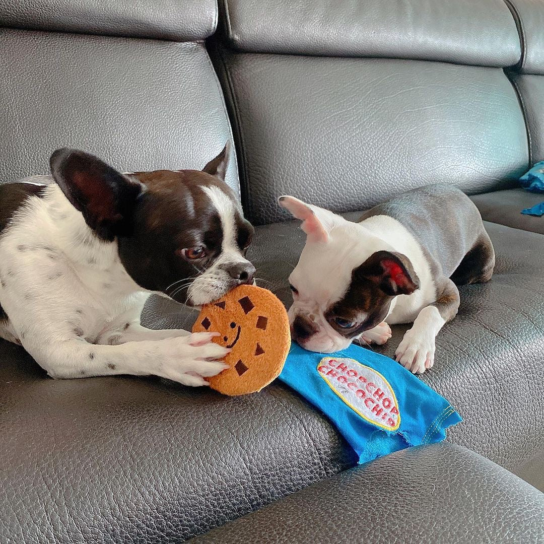 🍪 Cookie Hide-and-Seek Crinkle Toy