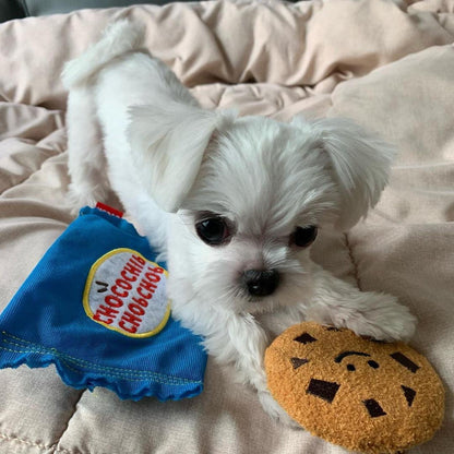 🍪 Cookie Hide-and-Seek Crinkle Toy