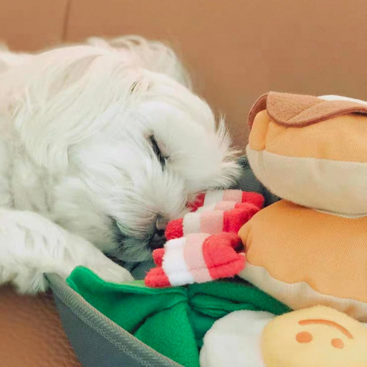 🥓 Bacon Breakfast Set Squeaky Toy