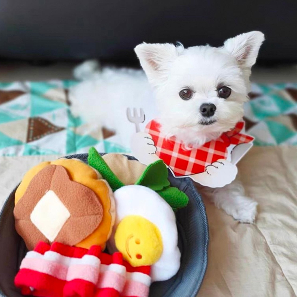 🥓 Bacon Breakfast Set Squeaky Toy