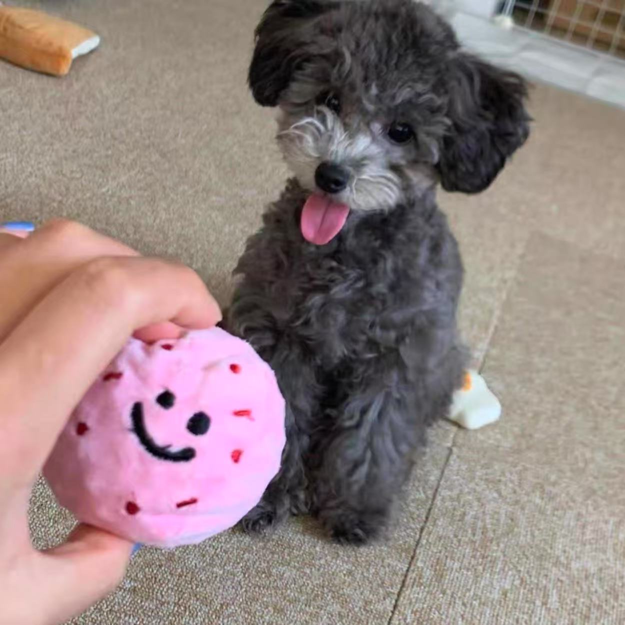🍨 Ice Cream Tub with Squeaky Balls Chew Toy