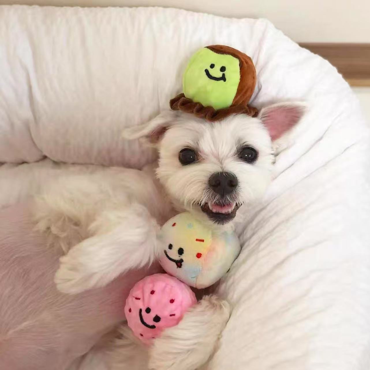 🍨 Ice Cream Tub with Squeaky Balls Chew Toy