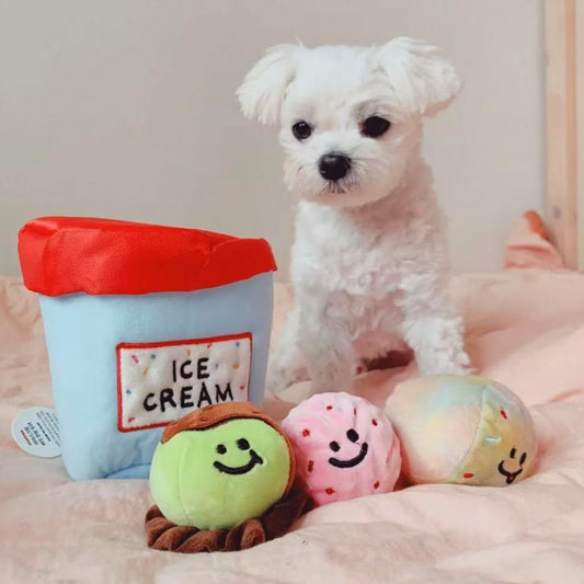 🍨 Ice Cream Tub with Squeaky Balls Chew Toy