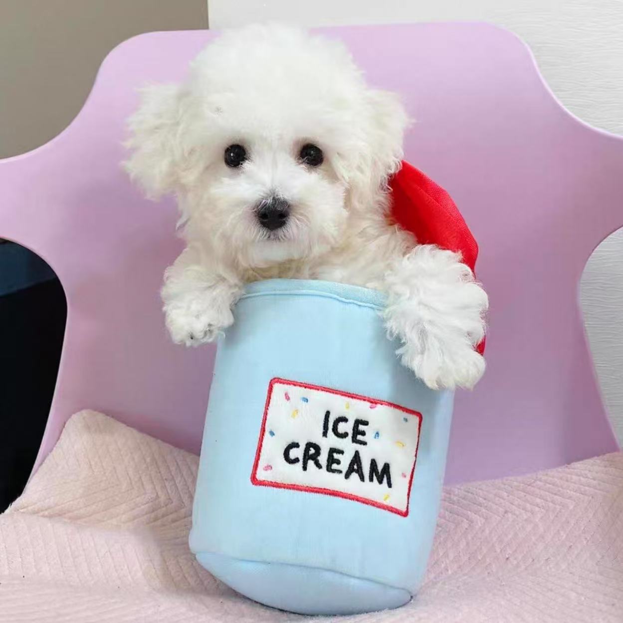 🍨 Ice Cream Tub with Squeaky Balls Chew Toy