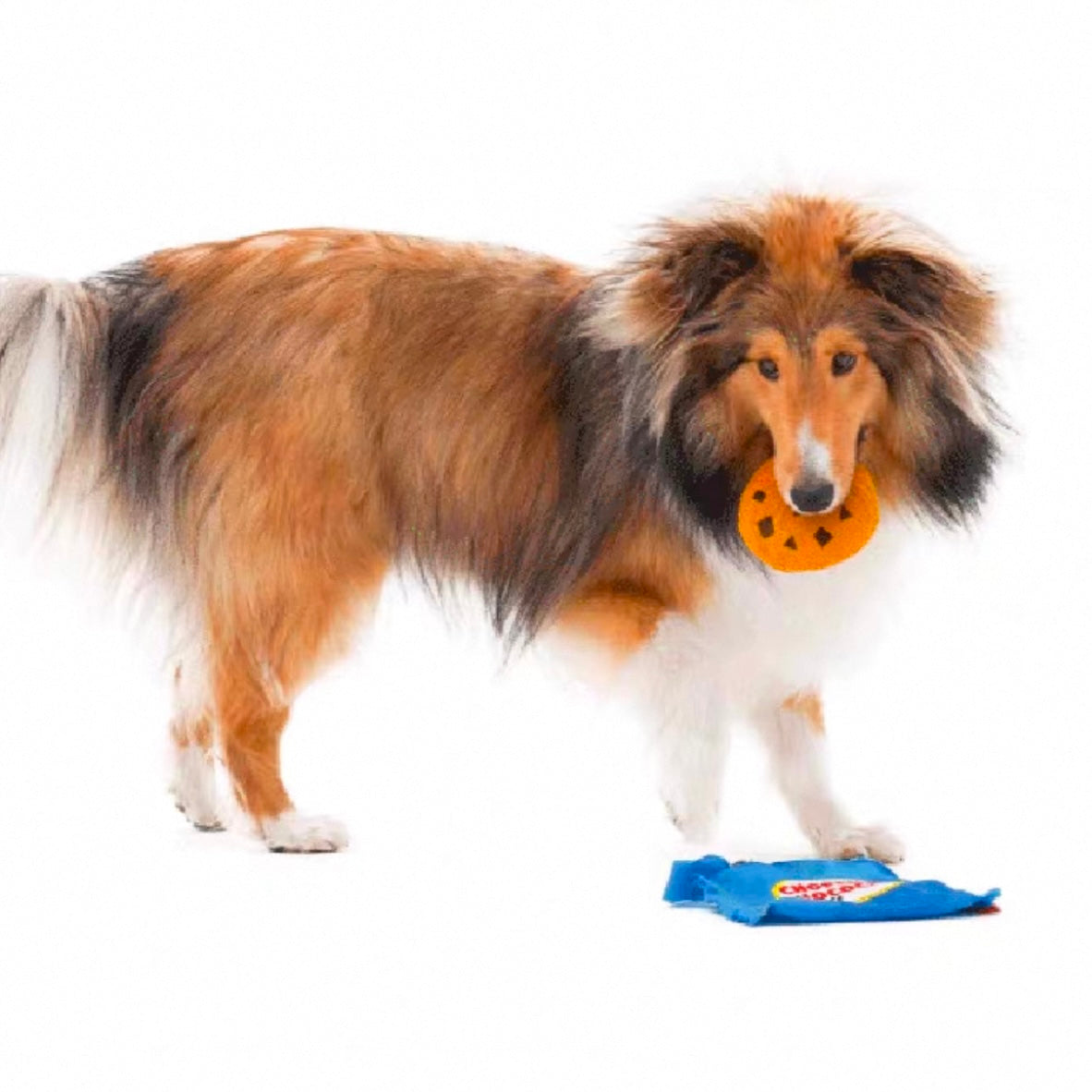 🍪 Cookie Hide-and-Seek Crinkle Toy