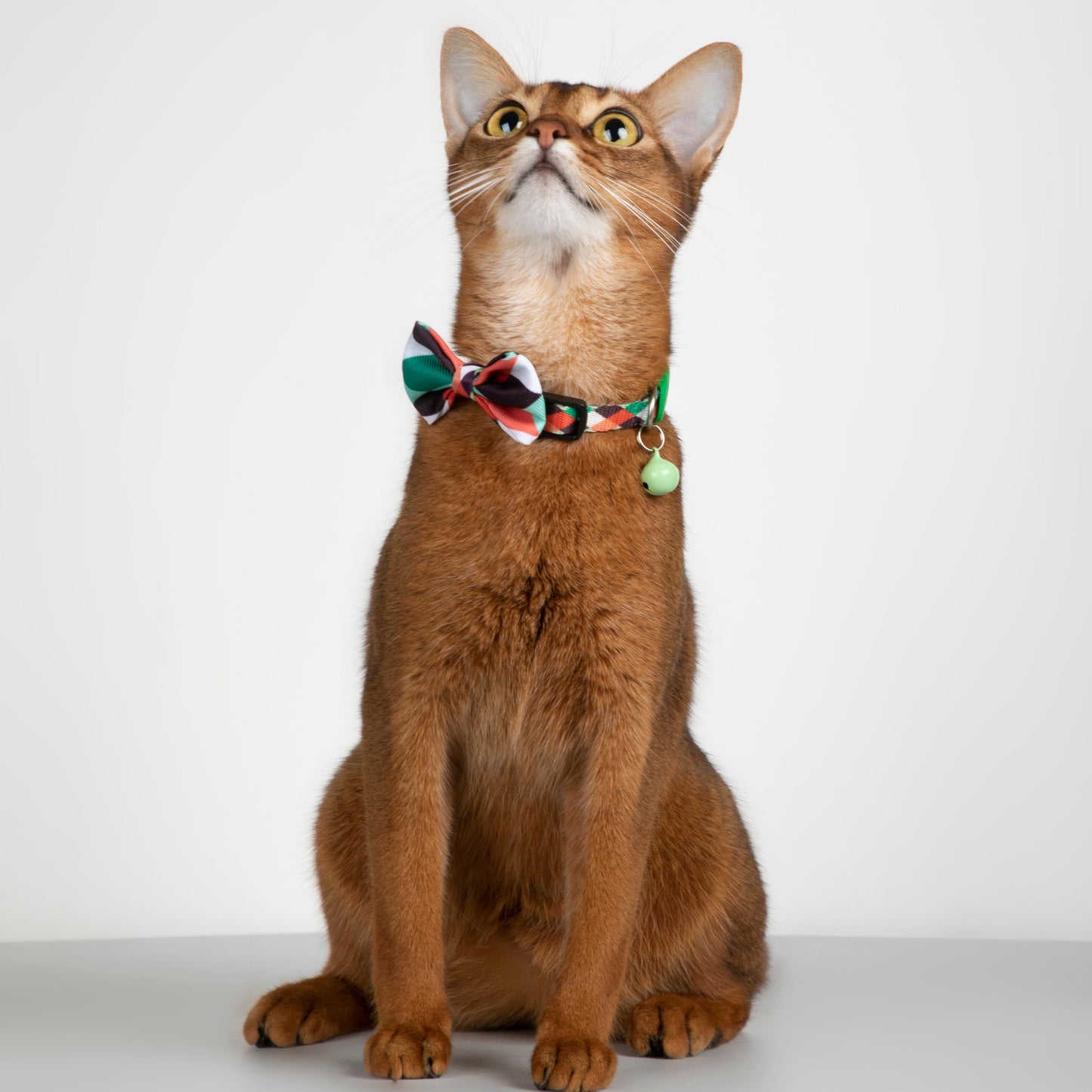 Colorful Series Bow Tie [Pop Art]