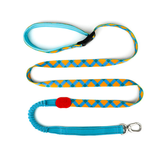 Colorful Pro Series Multipurpose Buffer Dog Leash [Sunrise]