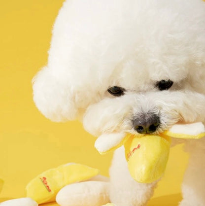 🍌 Banana Nosework Toy