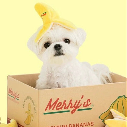 🍌 Banana Nosework Toy