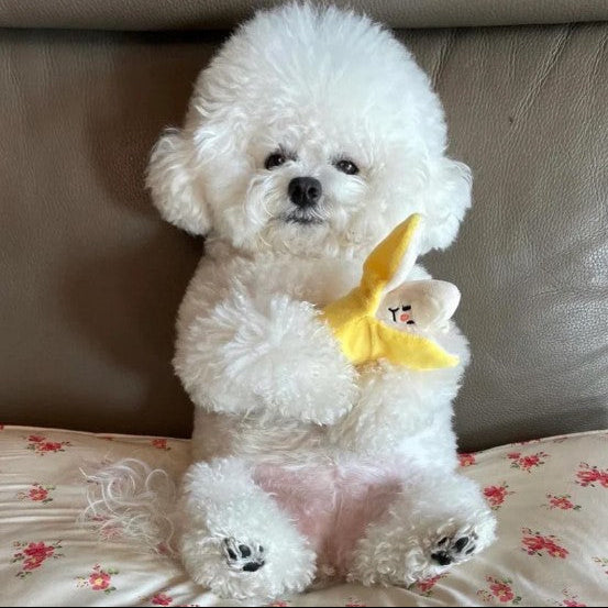 🍌 Banana Nosework Toy