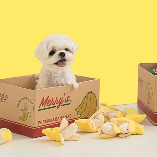 🍌 Banana Nosework Toy