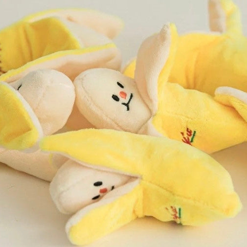 🍌 Banana Nosework Toy