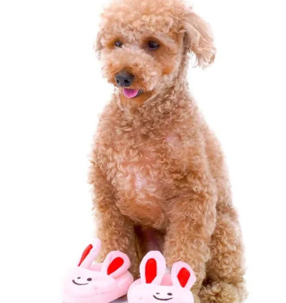 🐰Bunny Slipper Nosework Toy [1 pc]