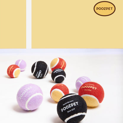 🎾 Tennis Racket and Ball Toy [Black]