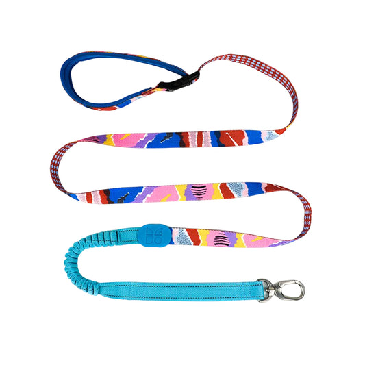 Colorful Pro Series Multipurpose Buffer Dog Leash [Mountain and River Impressions]