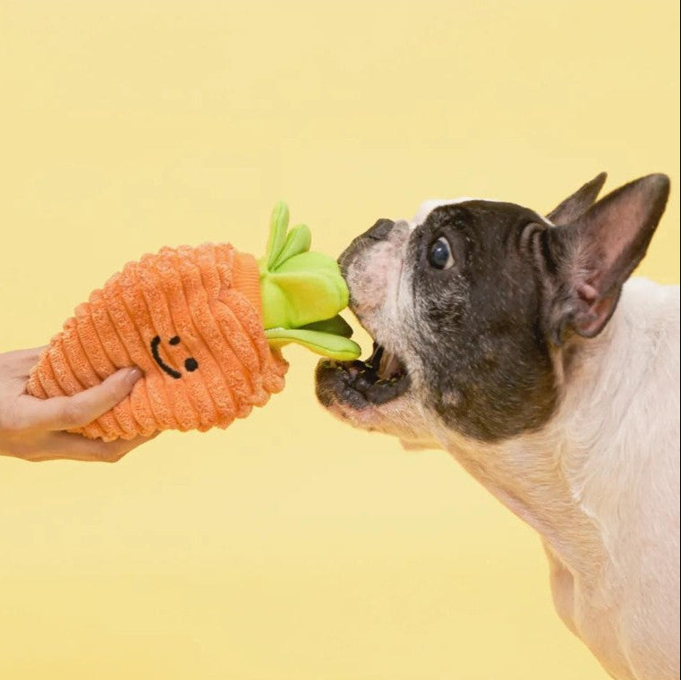 🥕Carrot Nosework Toy