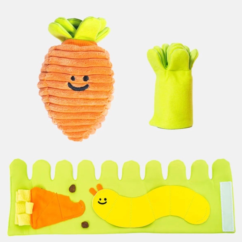 🥕Carrot Nosework Toy