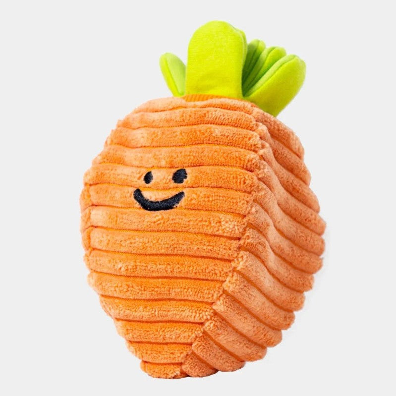 🥕Carrot Nosework Toy