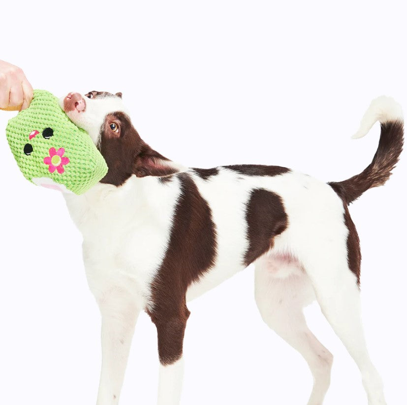 🍧Green & Pink Popsicle with Stick Tug Toy