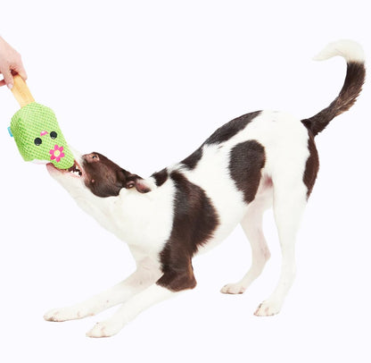 🍧Green & Pink Popsicle with Stick Tug Toy