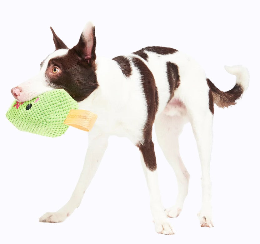 🍧Green & Pink Popsicle with Stick Tug Toy