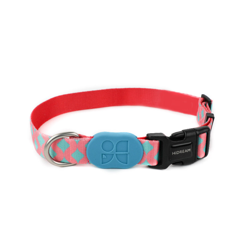 Colorful Series Dog Collar [Bobby]
