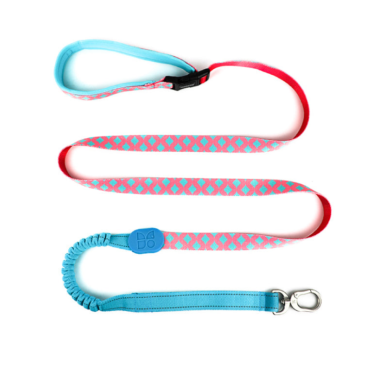Colorful Pro Series Multipurpose Buffer Dog Leash [Bobby]