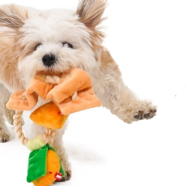 🍡Fishcake Skewer Tug Toy