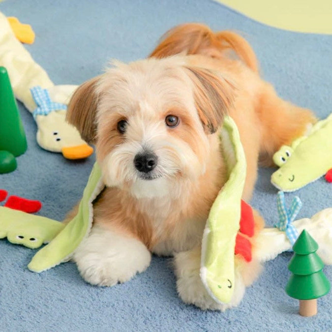 🐊 Long Longs Furry Friends Tug Toy🪿