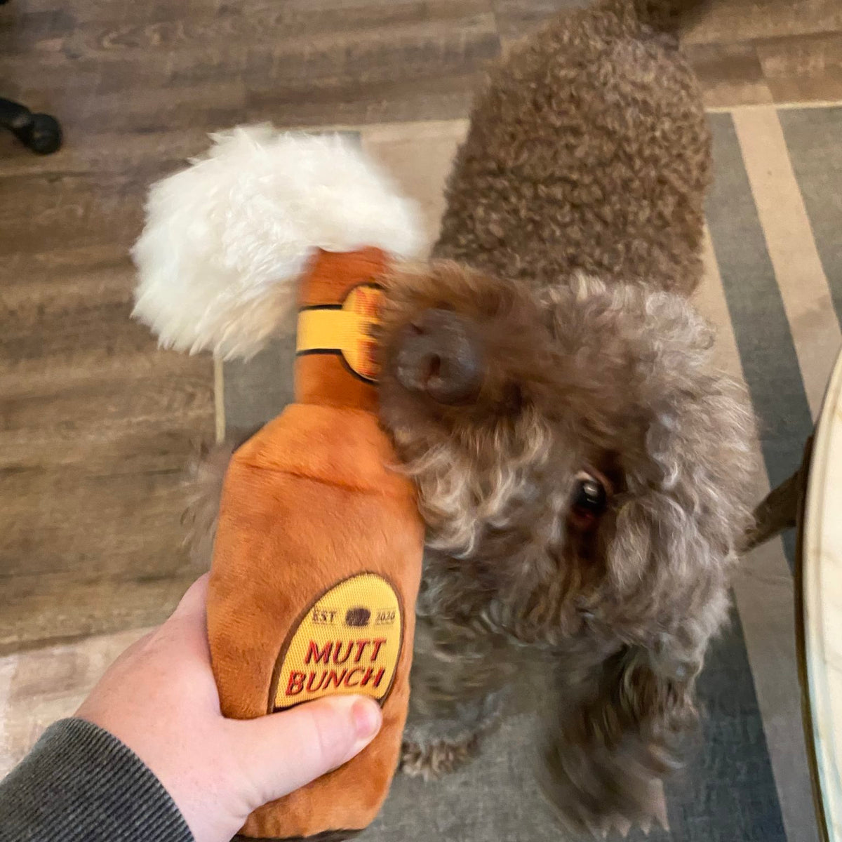 🍎 Mutt Bunch Hard Cider Plush Toy
