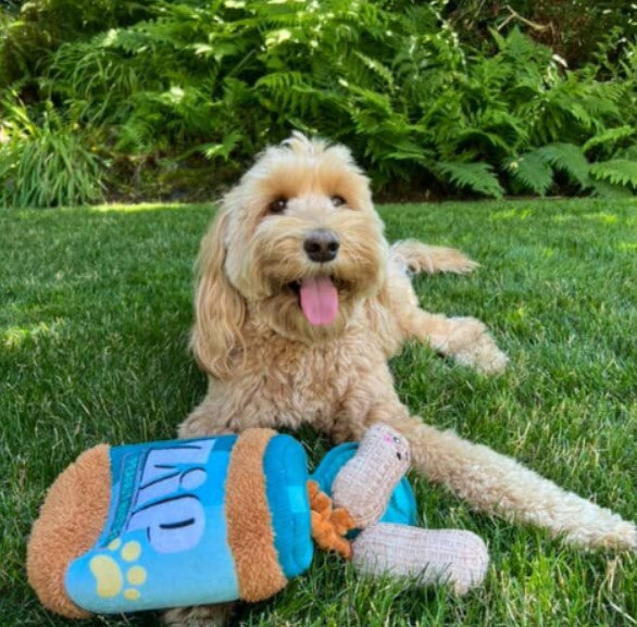 🥜Peanut Butter Jar Tug Toy