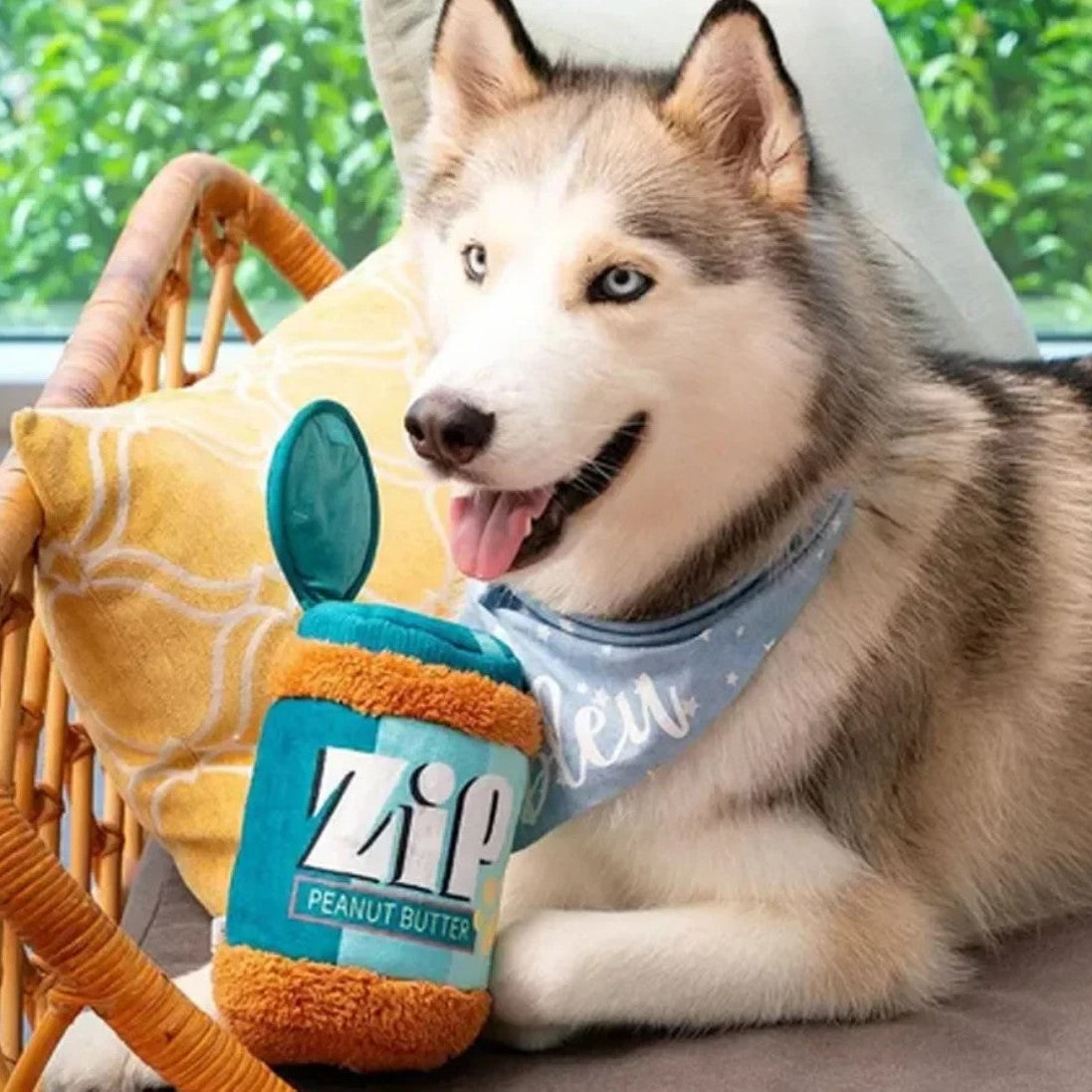 🥜Peanut Butter Jar Tug Toy