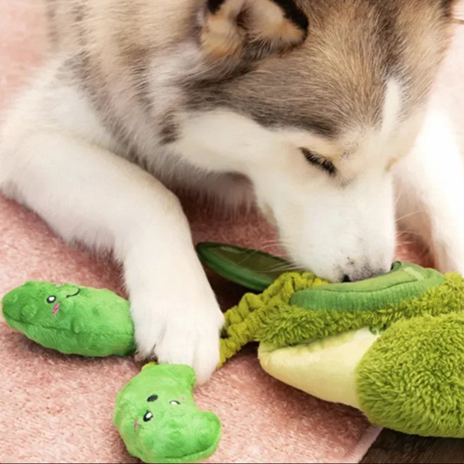 🥒Fresh Pickles Jar Tug Toy