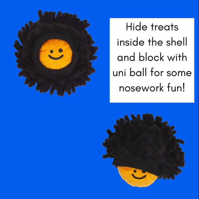 🌊Sea Urchin Catch Toy