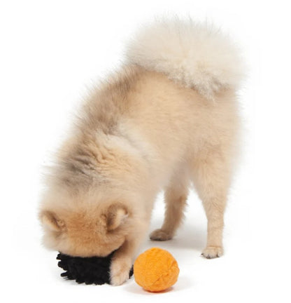 🌊Sea Urchin Catch Toy